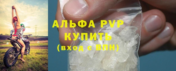 трава Балахна